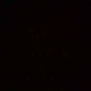 Meet your Posher, Dillon